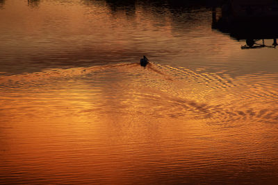 High angle view of silhouette pelican swimming on lake during sunset