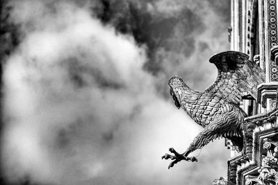 Low angle view of a bird against the sky