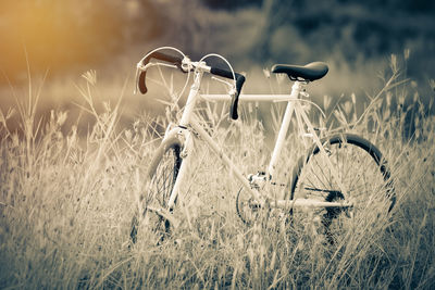 Bicycle parked on grassy field