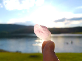 Cropped hand holding flower against lake
