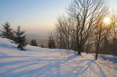 Frosty day on the top of the mountain