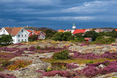 Houses and buildings in town against sky