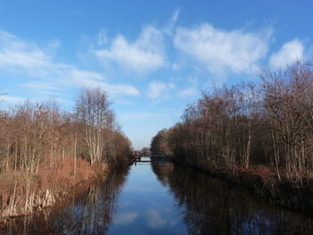 Reflection of trees in water