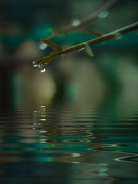 Close-up of drop falling on water