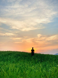 Scenic view of agricultural field against sky during sunset