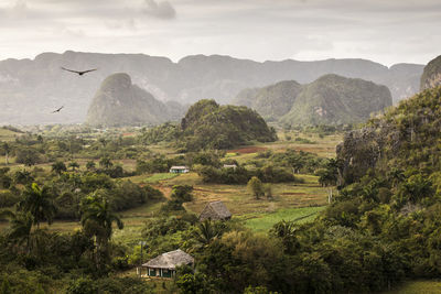 Scenic view of landscape and mountains against sky