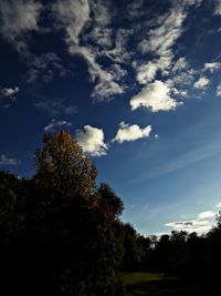 Tree against sky