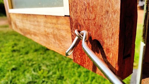 Close-up of metal fence against plants