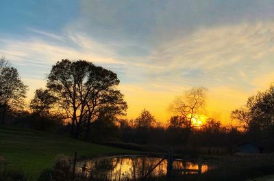 Silhouette trees on field against sky during sunset