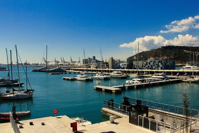 Sailboats moored in harbor