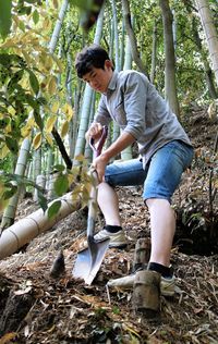 Low angle view of man digging in bamboo grove
