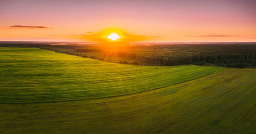 Scenic view of agricultural field against sky during sunset