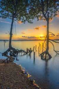 Scenic view of lake against sky during sunset