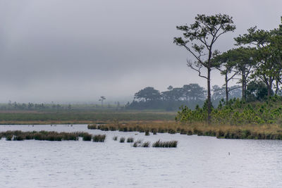 Scenic view of land against sky