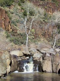 River flowing through rocks in forest