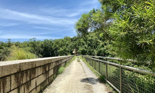 Footpath amidst trees against sky