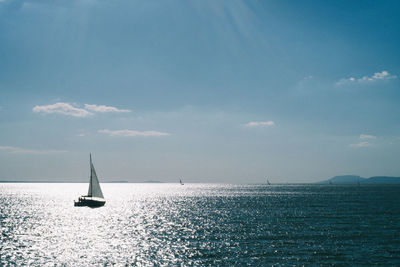 Sailboat sailing in sea against sky