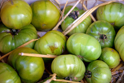 Close-up of unripe tomatoes