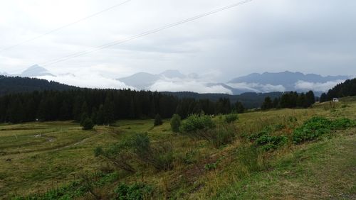 Scenic view of field against sky