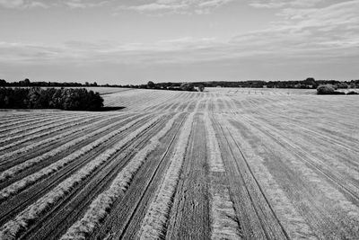 Tire tracks on field against sky