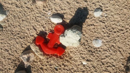 High angle view of red toy on sand