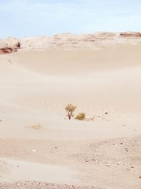 Scenic view of desert against sky