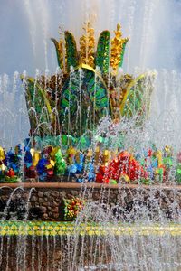 Digital composite image of multi colored flower plants in water