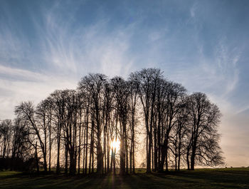 Low angle view of silhouette bare trees on field against sky