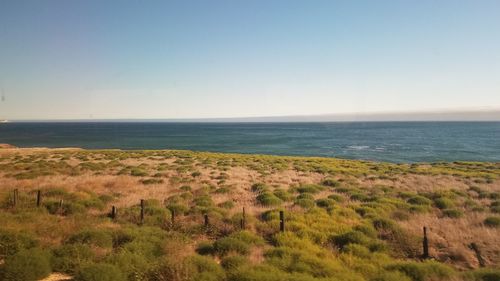 Scenic view of sea against clear sky