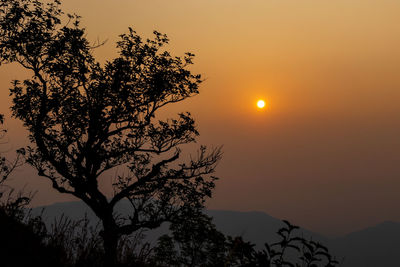 Low angle view of silhouette tree against sky during sunset