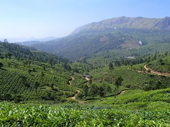 Scenic view of agricultural landscape against sky