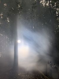 Illuminated trees on field against sky