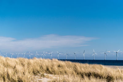 Wind turbines on field against blue sky