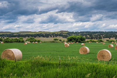 Hay bales on field against sky