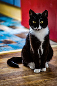 Portrait of cat sitting on table