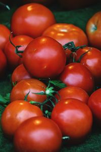 Close-up of tomatoes