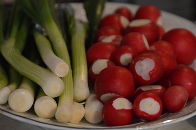 Close-up of onion with radish in plate