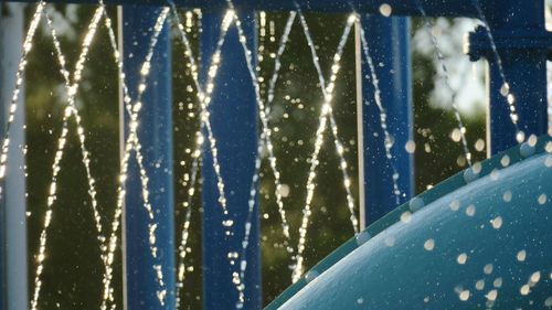 Close-up of snowflakes on window