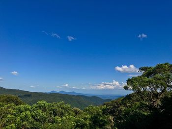 Scenic view of landscape against blue sky