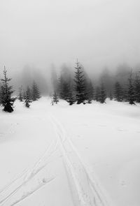 Snow covered land and trees against sky