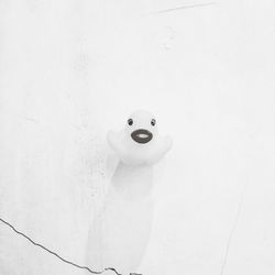 High angle view of stuffed toy on wall