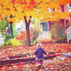 autumn