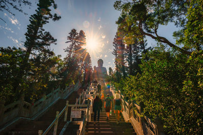 Low angle view of steps amidst trees against sky