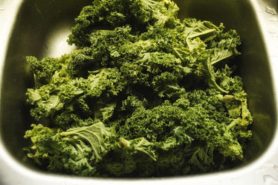 High angle view of green vegetables in bowl