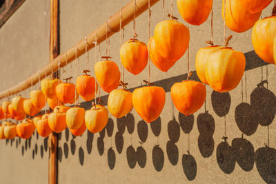 Making dried fruits