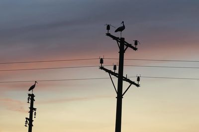 Low angle view of bird perching on electricity pylon against sky