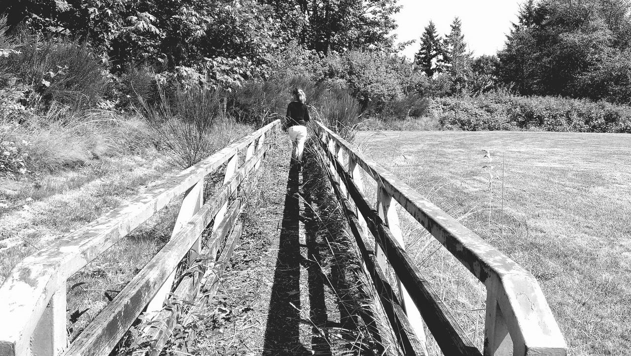 leisure activity, lifestyles, tree, full length, wood - material, grass, railing, sunlight, men, walking, nature, day, plant, outdoors, shadow, rear view, field, growth