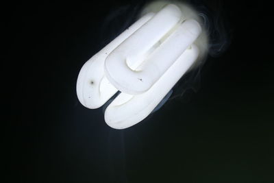 Close-up of illuminated light bulb against black background