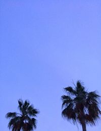 Low angle view of silhouette palm trees against clear blue sky