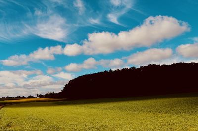 Scenic view of field against sky